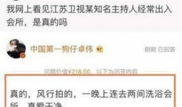 卓伟最火爆料视频网,娱乐圈背后的惊人真相